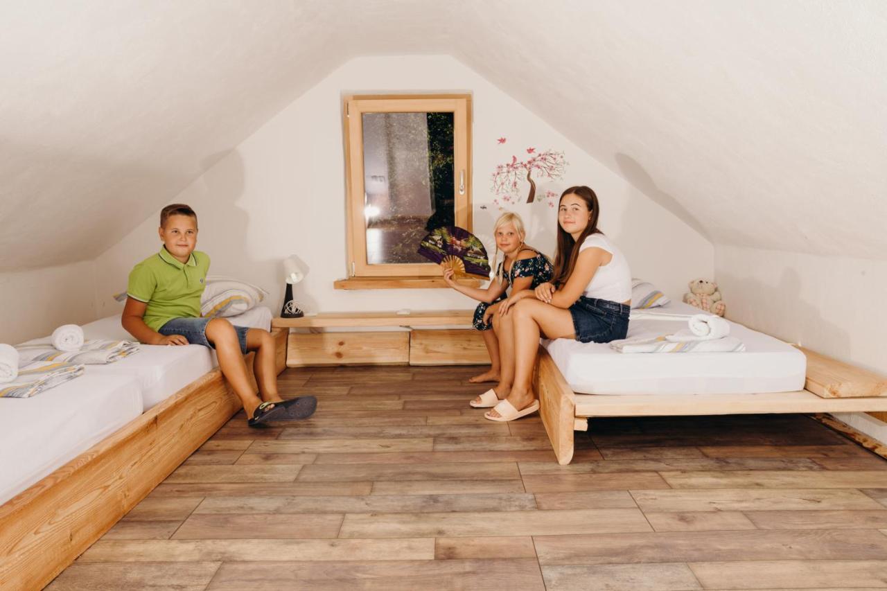 Linca Hiska Pod Slapom Villa Podvelka Dış mekan fotoğraf